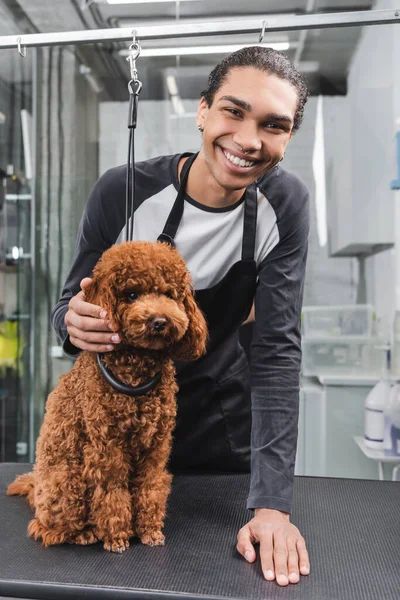 Alegre Africano americano pet cabeleireiro olhando para a câmera perto poodle na mesa de aliciamento — Fotografia de Stock