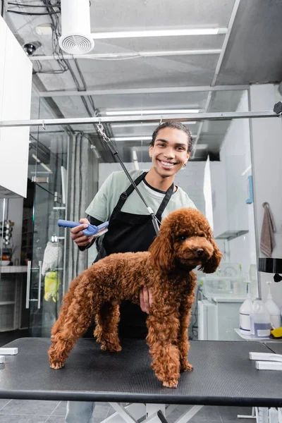 Toiletteur afro-américain avec pinceau lisse souriant à la caméra près de caniche dans le salon d'animaux de compagnie — Photo de stock