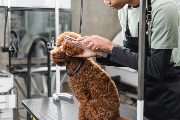 Partial view of african american pet barber grooming poodle in pet salon — Stock Photo