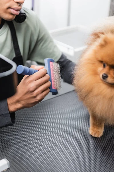 Partial view of young african american groomer with slicker brush near spitz on grooming table — Stock Photo