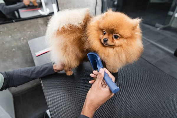 Cropped view of african american pet barber brushing fluffy spitz on grooming table — Stock Photo