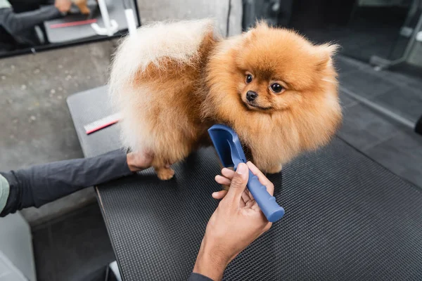 Abgeschnittene Ansicht des afrikanisch-amerikanischen Tierfriseurs beim Bürsten von flauschigem Spitz auf dem Pflegetisch — Stockfoto