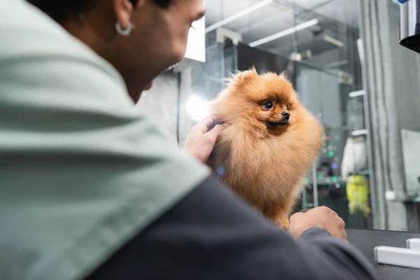 Ausgeschnittene Ansicht eines verschwommenen afrikanisch-amerikanischen Pflegers in der Nähe von flauschigem Spitz im Zoofriseurladen — Stockfoto