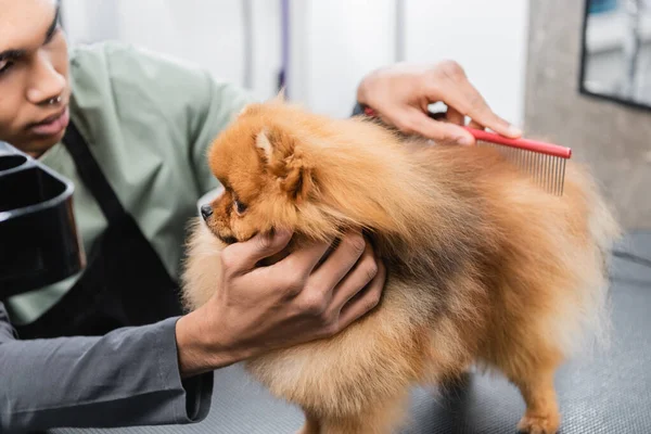 Blurred african american groomer brushing spitz with comb — Stock Photo