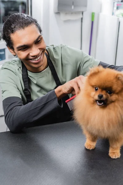 Smiling african american groomer brushing spitz in pet salon — Stock Photo