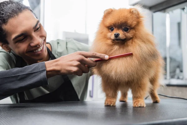 Giovane uomo africano americano sorridente mentre spazzola spitz nel salone di toelettatura — Foto stock