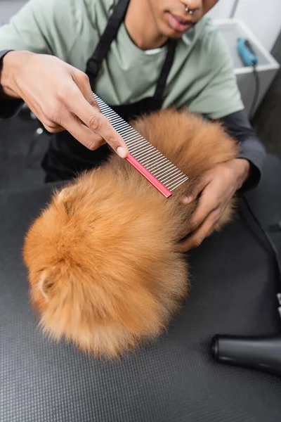 Vista recortada del peluquero afroamericano cepillando spitz pomeraniano con peine - foto de stock