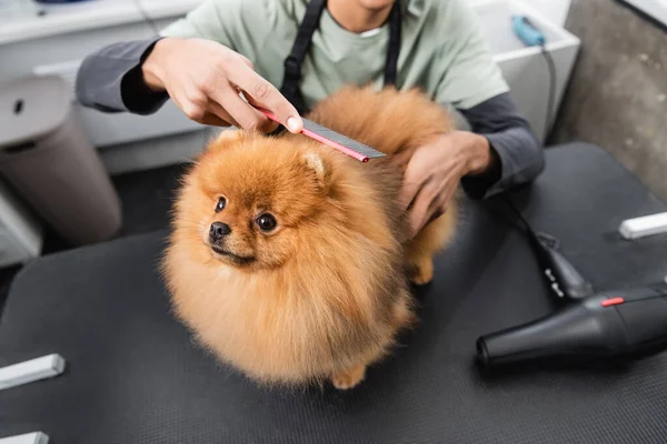 Partial view of african american groomer brushing pomeranian spitz in pet barbershop — Stock Photo