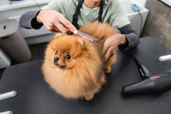 Vista parcial del peluquero afroamericano cepillando spitz pomeraniano en peluquería de mascotas - foto de stock