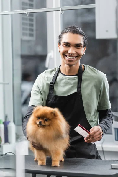 Happy african american groomer in apron holding comb near pomeranian spitz in pet barbershop — Stock Photo