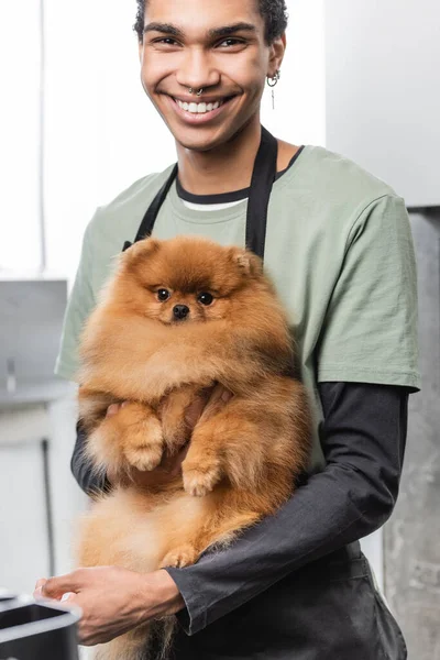 Feliz afroamericano novio sonriendo a la cámara mientras sostiene esponjoso spitz en las manos - foto de stock