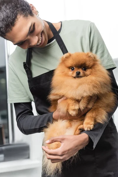 Cheerful african american groomer holding fluffy pomeranian spitz in pet salon — Stock Photo