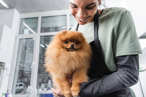 Visão de baixo ângulo do homem americano africano sorridente em avental segurando spitz filhote de cachorro no salão de arrumação — Fotografia de Stock