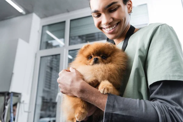 Low angle view of young and happy african american groomer holding fluffy spitz — Stock Photo