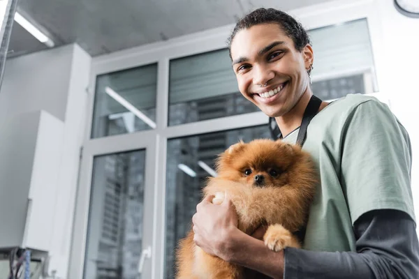 Cheerful african american groomer with pomeranian spitz looking at camera in pet salon — Stock Photo