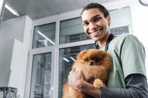 Joyeux toiletteur afro-américain avec spitz poméranien regardant la caméra dans le salon d'animaux de compagnie — Photo de stock