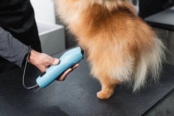 Partial view of african american man making haircut to dog on grooming table — Stock Photo