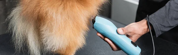 Partial view of african american pet hairdresser grooming dog with electric trimmer, banner — Stock Photo