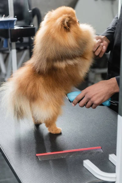 Vista parcial del hombre afroamericano recortando spitz pomeraniano en la mesa de aseo - foto de stock