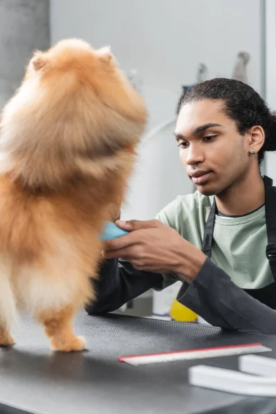 Young african american man grooming blurred dog in pet salon — Stock Photo