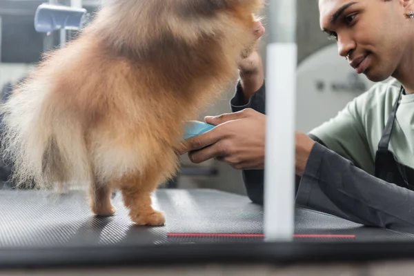 African american pet barber grooming furry dog on grooming table — Stock Photo