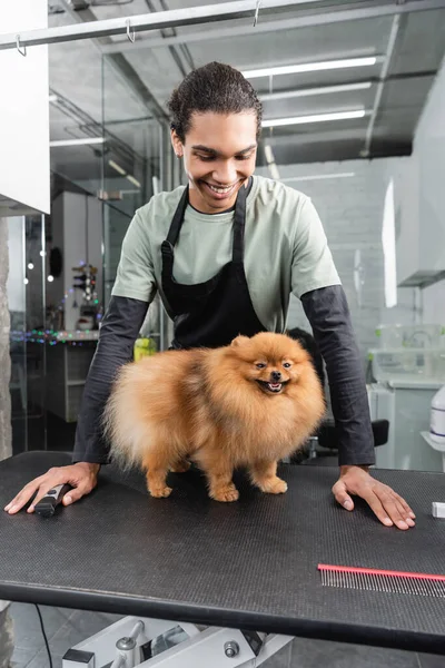 Pleased african american man in apron looking at pomeranian spitz on grooming table — Stock Photo