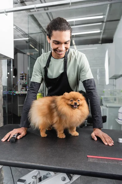 Satisfeito afro-americano homem em avental olhando para pomeranian spitz em grooming mesa — Fotografia de Stock