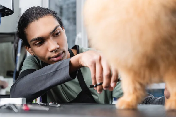 Joven afroamericano hombre aseo borrosa perro en salón de mascotas - foto de stock