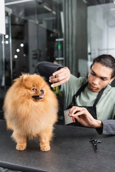 Verschwommen afrikanisch-amerikanischer Tierfriseur schneidet Spitz auf Pflegetisch — Stockfoto