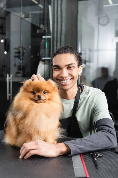 Pleased african american man looking at camera near fluffy spitz in grooming salon — Stock Photo