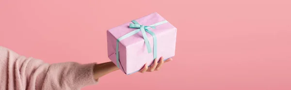 Обрізаний вид молодої жінки, що тримає загорнуту подарункову коробку ізольовано на рожевому, банер — стокове фото