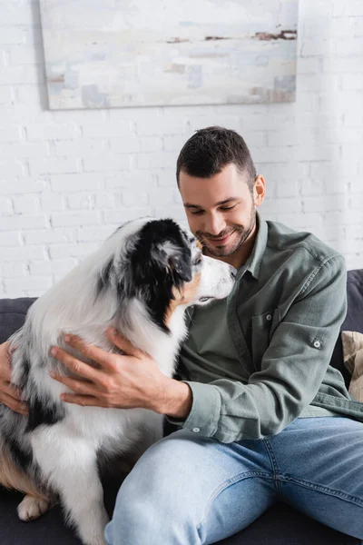 Smiling bearded man cuddling australian shepherd dog on couch — Stock Photo