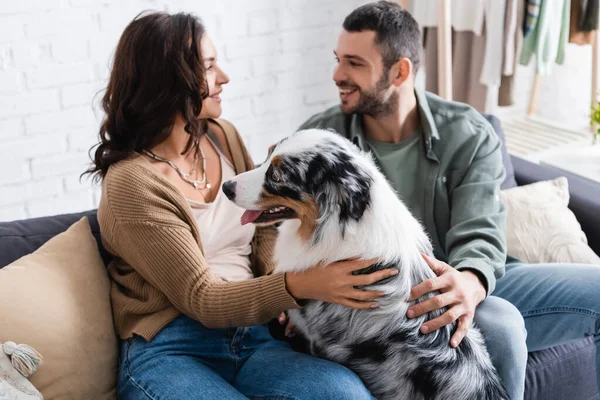 Happy young couple cuddling australian shepherd dog and looking at each other at home — Stock Photo