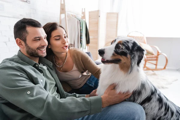 Happy couple cuddling australian shepherd dog in living room — Stock Photo