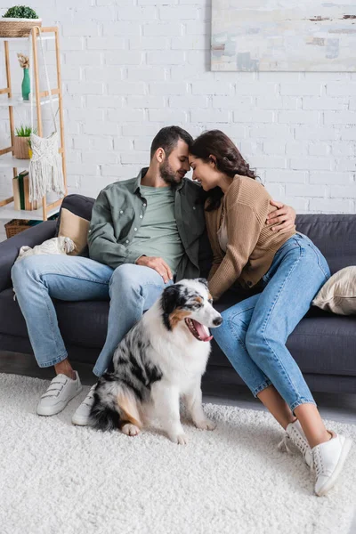 Happy young couple hugging on sofa near australian shepherd dog in living room — Stock Photo