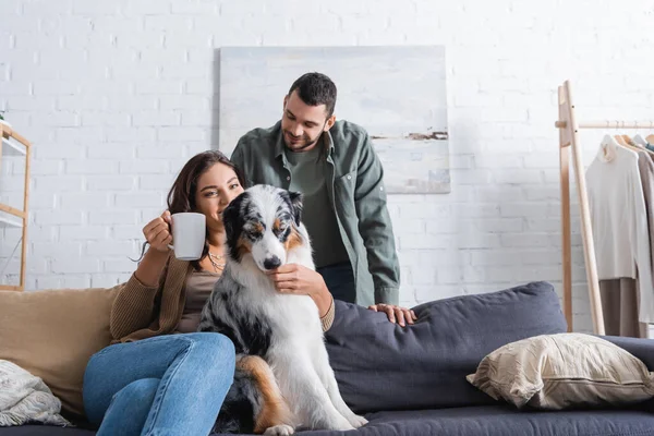 Young woman cuddling australian shepherd dog and holding cup near smiling boyfriend — Stock Photo