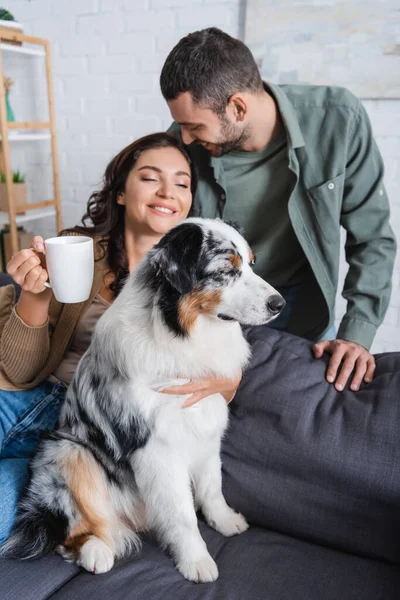 Smiling young woman hugging australian shepherd dog and holding cup near bearded boyfriend — Stock Photo