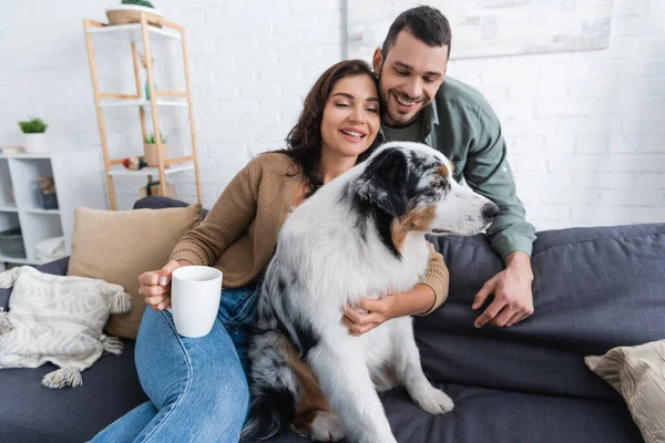 Joyful young woman hugging australian shepherd dog and holding cup near bearded boyfriend — Stock Photo