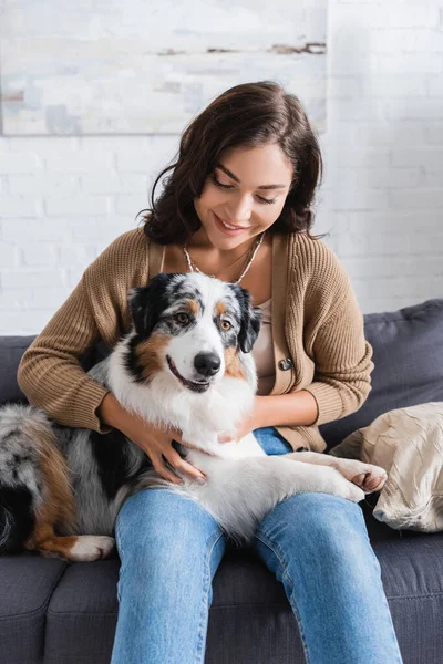 Sorridente giovane donna coccole cane pastore australiano mentre seduto sul divano — Foto stock