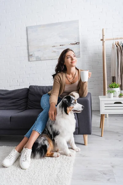 Smiling young woman sitting on sofa and cuddling australian shepherd dog while holding cup of coffee — Stock Photo