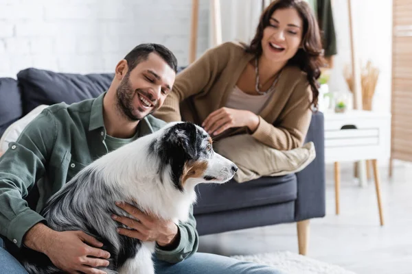 Happy bearded man cuddling australian shepherd dog near blurred and joyful girlfriend — Stock Photo