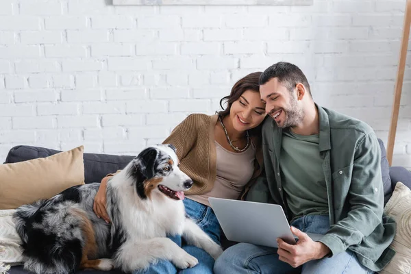 Smiling young couple watching movie on laptop near australian shepherd dog — Stock Photo