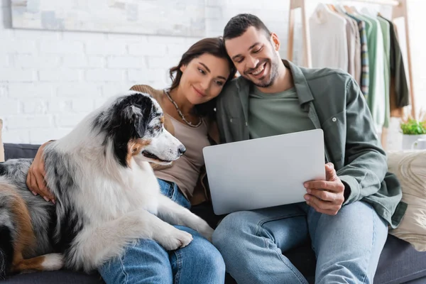 Positive young couple watching movie on laptop near australian shepherd dog — Stock Photo