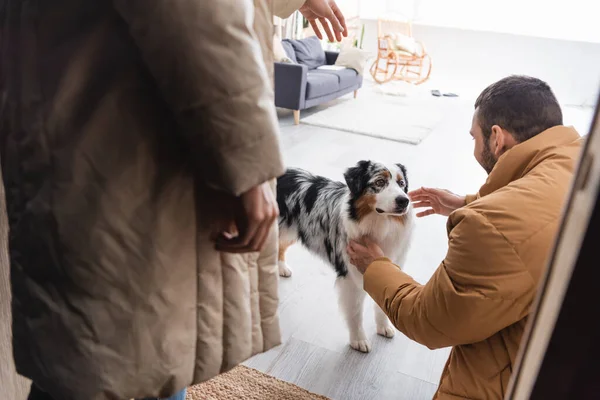 Bearded man in winter jacket cuddling australian shepherd dog near girlfriend — Stock Photo