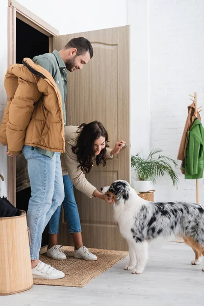 Happy woman in winter jacket cuddling australian shepherd dog near boyfriend — Stock Photo