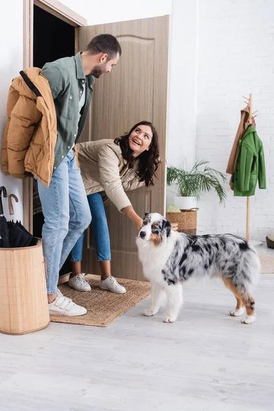 Donna allegra in giacca invernale coccole cane pastore australiano vicino fidanzato — Foto stock