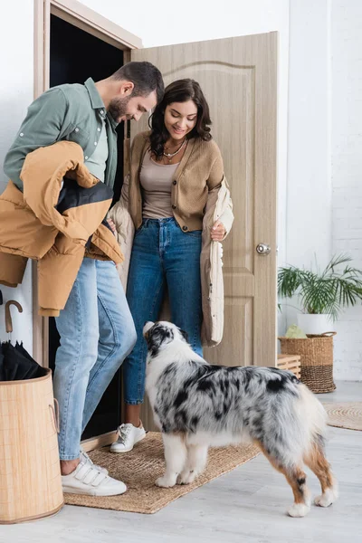 Full length of happy young couple in winter jackets looking at australian shepherd dog — Stock Photo
