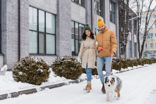 Full length of happy young couple in winter jackets and hats strolling with australian shepherd dog — Stock Photo