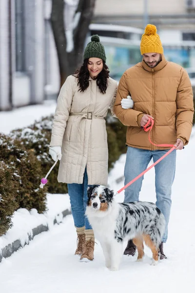 Full length of joyful young couple in winter jackets and hats strolling with australian shepherd dog — Stock Photo