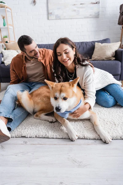 Young and happy couple cuddling akita inu dog in modern living room — Stock Photo